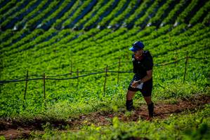 BIB: 
                            <button type="button" onclick="openModal(19161305)" class="btn btn-primary btn-sm float-right btn-popup" data-toggle="modal" data-target=".modal-high-quality">
                        <i class="fas fa-shopping-cart"></i> Add to Cart
                    </button>
                                            <button type="button" onclick="isThisMe(19161305, true)" class="btn btn-success btn-sm float-right btn-popup btn-isme hidden" data-toggle="tooltip" data-placement="bottom" title="นี่คือรูปของคุณใช่ไหม คลิกที่นี่เพื่อเอาเข้าอัลบั้ม">
                        <i class="fas fa-plus"></i> Add to album
                    </button>
                    <button type="button" onclick="isThisMe(19161305, false)" class="btn btn-warning btn-sm float-right btn-popup btn-isnotme hidden">
                        <i class="fas fa-ban"></i> Remove from album
                    </button>